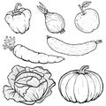 Vector illustration of vegetables collection in line art