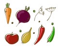 Vector illustration of vegetables: onion, peppers, beat, carrot and tomato on white background.
