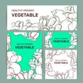 Vegetable doodles pattern, background of popular vegetables and greens, in outline, flat style.