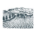 Vector illustration of vineyard. Hand sketch of villa, homestead in fields and hills. Drawn mediterranean landscape. Royalty Free Stock Photo