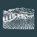 Vector illustration of vineyard. Hand sketch of villa, homestead in fields and hills. Drawn mediterranean landscape. Royalty Free Stock Photo