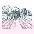 Vector illustration of vineyard. Hand sketch of villa, homestead in fields and hills. Drawn mediterranean landscape.
