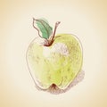 Vector illustration of vintage apple
