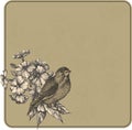 Vector illustration. Vintage background with flowers and birds, Royalty Free Stock Photo
