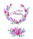 Vector illustration of violet and pink flowers