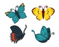 Different beautiful butterflies set Royalty Free Stock Photo