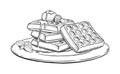 Vector illustration of Waffles on plate Royalty Free Stock Photo