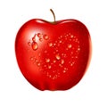 Vector illustration of water drop on red apple