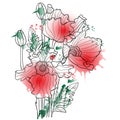 Vector illustration with watercolor poppy