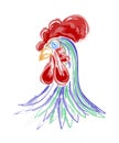 Vector illustration of watercolor rooster