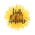 Vector illustration with watercolor sunflower and hand drawn lettering Hello Autumn Isolated on white background. Design for card Royalty Free Stock Photo