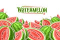 Vector illustration of Watermelons