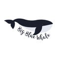 Vector illustration of whale. Symbol design