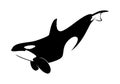 Vector illustration of a whales .Fish on a white background.