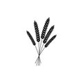 Vector illustration of wheat, rye or barley black silhouette of wheat, rye or barley cicon isolated on white background. Royalty Free Stock Photo