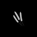 Vector illustration of wheat, rye or barley ears whole grain, white silhouette symbol icon isolated on black background Royalty Free Stock Photo