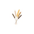 Vector illustration of wheat, rye or barley ears with whole grain, yellow colorful wheat, rye or barley crop harvest symbol or
