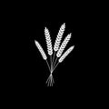 Vector illustration of wheat, rye or barley white silhouette of wheat, rye or barley isolated on black background Royalty Free Stock Photo