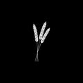 Vector illustration of wheat, rye or barley white silhouette of wheat, rye or barley isolated on black background Royalty Free Stock Photo