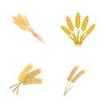 Vector design of wheat and stalk logo. Set of wheat and grain stock vector illustration.