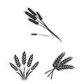 Vector illustration of wheat and stalk logo. Set of wheat and grain stock vector illustration.