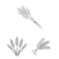 Vector illustration of wheat and stalk sign. Set of wheat and grain stock symbol for web.