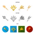 Vector design of wheat and stalk icon. Set of wheat and grain stock vector illustration.