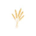 Vector illustration of wheat textured, rye or barley ears with whole grain, yellow wheat, rye or barley crop harvest symbol or Royalty Free Stock Photo