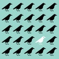 Vector illustration of white crow among black crows, unlike others, the interest of neighbors, outstanding unusual personality Royalty Free Stock Photo