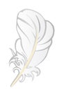 Vector illustration a white feather