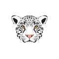 Vector illustration of a white jaguar head. Royalty Free Stock Photo