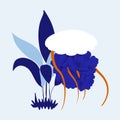 Vector illustration with white jellyfish and blue maritime leaves