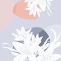 Vector illustration with white lilies. Square pattern for your text. Invitation to the holiday. Beautiful draw of tiger lilly