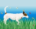 Vector illustration of white small dog walking in green grass on summer day Royalty Free Stock Photo