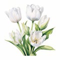 White Tulips Vector Art Graphic Design For Website