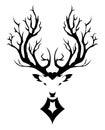 Vector Illustration of a Whitetail Deer Head Royalty Free Stock Photo