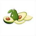 Vector illustration of whole and half avocado with and without seeds. Cartoon style,shadow texture. Isolated fruit on a white back