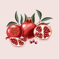 Vector illustration of a whole, half juicy pomegranate with leaves. Cartoon style, shadow texture.
