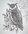 Vector illustration of wild totem animal - Owl with roses Royalty Free Stock Photo