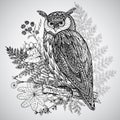 Vector illustration of wild totem animal - Owl with roses Royalty Free Stock Photo