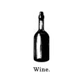 Vector illustration of wine bottle. Hand drawn sketch of alcoholic beverage for cafe, bar label,restaurant menu.