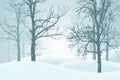 Vector illustration of winter forest with snow and mist, suitable as Christmas card Royalty Free Stock Photo