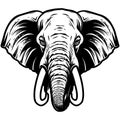 Vector illustration of wise unkind elephant face with big tusks