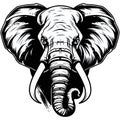 Vector illustration of wise unkind elephant face with big tusks