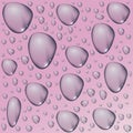 Isolated vector illustration. Drops background pink color