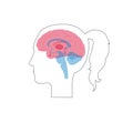 Vector illustration of woman brain anatomy Royalty Free Stock Photo