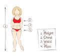 Vector illustration -- women's clothing sizes