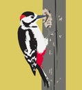 Vector illustration of woodpecker bird on a tree