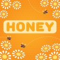 Honey bees daisies square