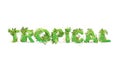 Vector illustration of word Tropical with capital letters stylized as a rainforest, with green branches, leaves, grass